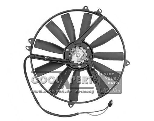 BBR AUTOMOTIVE ventiliatorius, radiatoriaus 001-60-00525